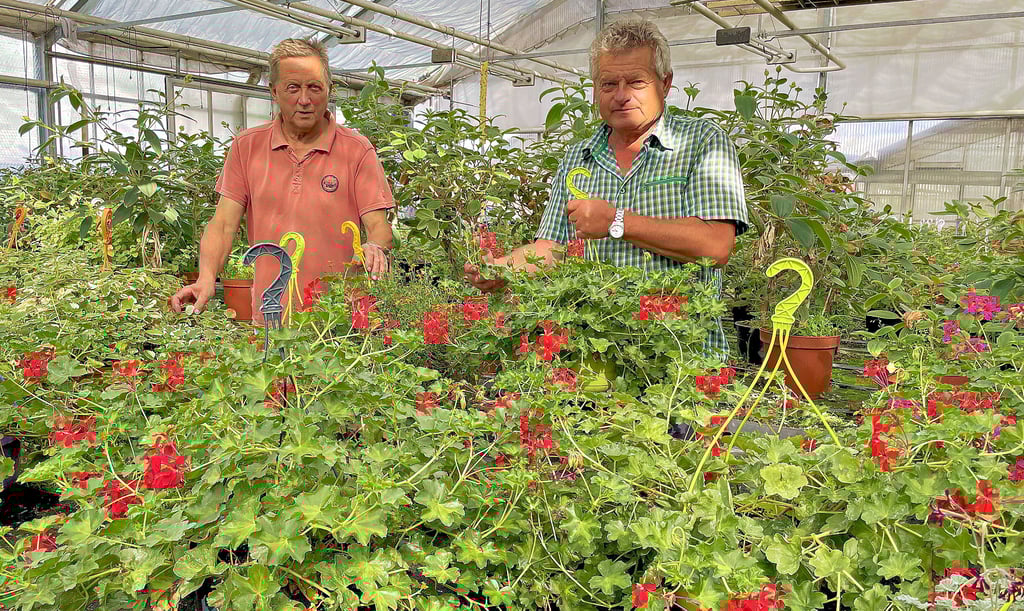 Energiekrise Hohe Gas und Strompreise Burger Gartenbau bangt um