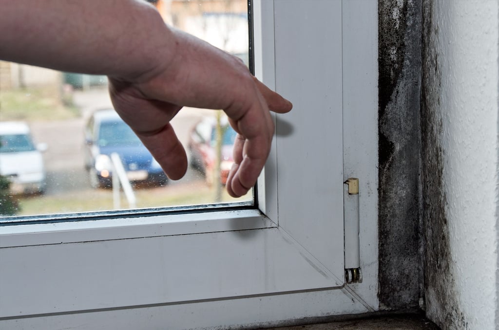 Schimmel im Auto? (Gesundheit, Wohnung, Haus)