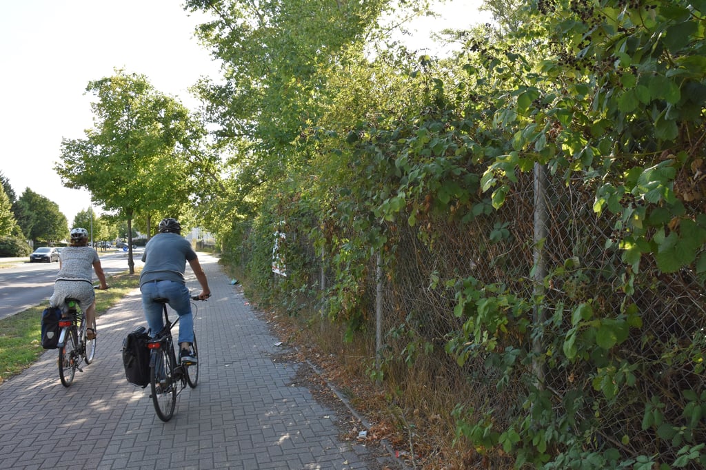 Hinter Gestrüpp an der Friedrich-Ebert-Straße befindet sich die ehemalige Traglufthalle.