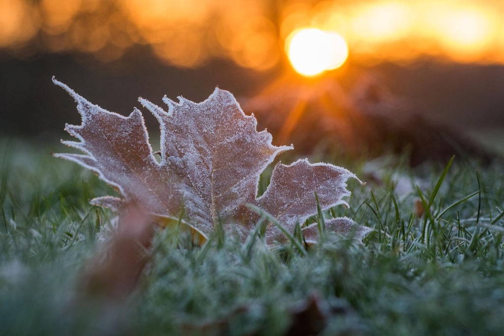 Wird der kommende Winter in Deutschland kalt oder ist die Sorge unberechtigt?