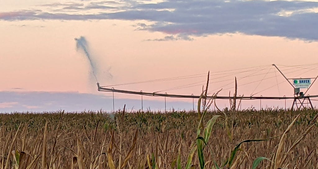Eine moderne Kreisberegnunsanlage dreht sich seit vergangenem Jahr bei Kalbe. Doch selbst die teure Technik ist nicht der Weisheit letzter Schluss, wenn es darum geht, trotz Klimawandel weiter auf altmärkischen Feldern ernten zu können.