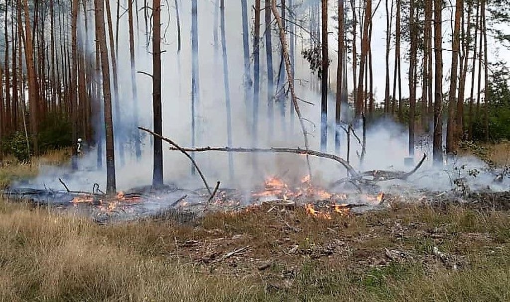 Nicht der erste Waldbrand an der Rathenower Heerstraße. "Feuer aus!" konnte nach 90 Minuten verkündet werden.