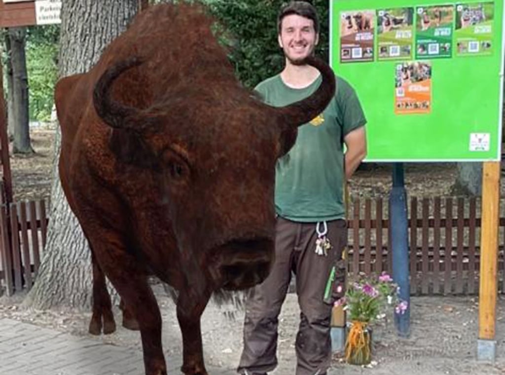 Per „Augmented Reality" lassen sich im Wildpark Weißewarte neuerdings Wisente und mehr fürs Foto streicheln. Philipp Mey , Leiter der Tierpflege, stellte sich für eine Testaufnahme zur Verfügung