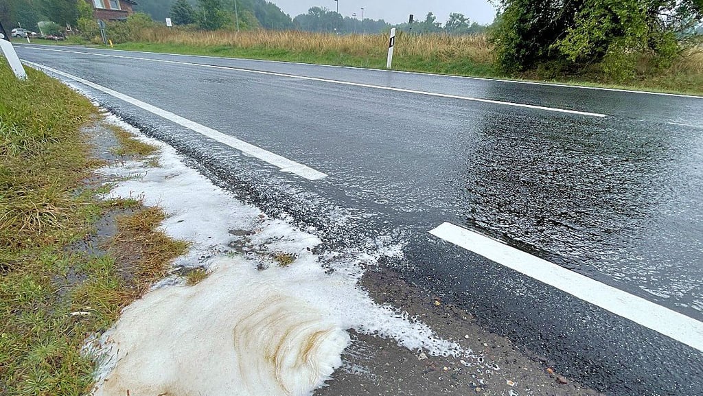 Schaum am Straßenrand bei Zeppernick.