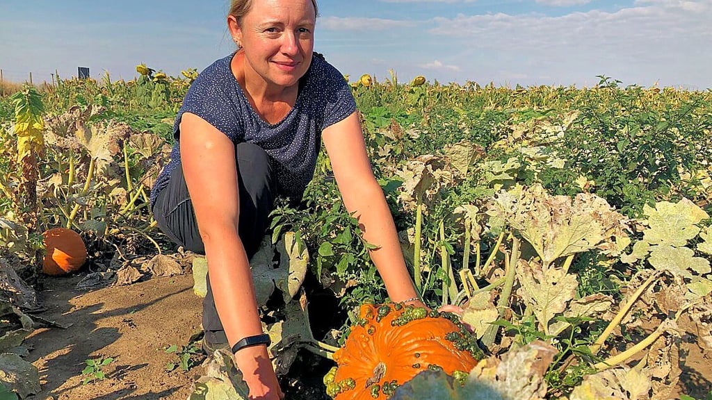 Auf dem Selbstpflückfeld  an der A38 gibt es Kürbisse. Manuela Kühne,  Mitarbeiterin bei Landwirtin Susanne Holter, zeigt ein Exemplar.