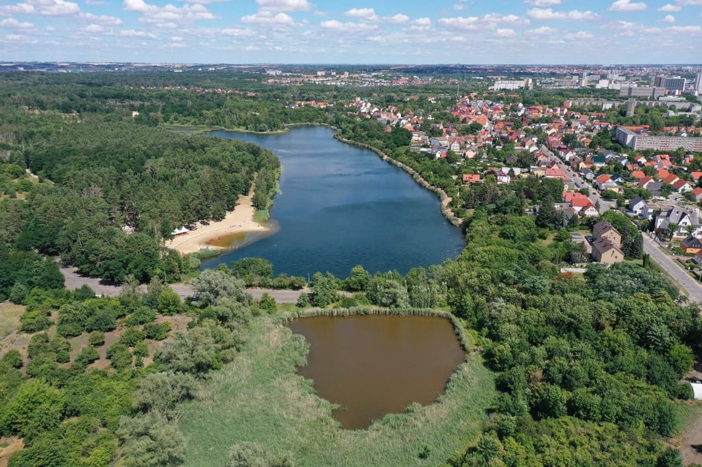 Die Stadträte haben am Donnerstag darüber diskutiert, wie das Baumsterben in der Dölauer Heide aufgehalten werden kann.