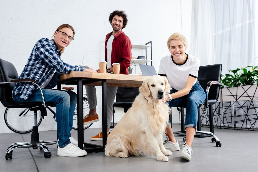 Hunde im Büro können das Arbeitsklima verbessern, für mehr Teamgeist sorgen und bei Belastung den Stresspegel senken.