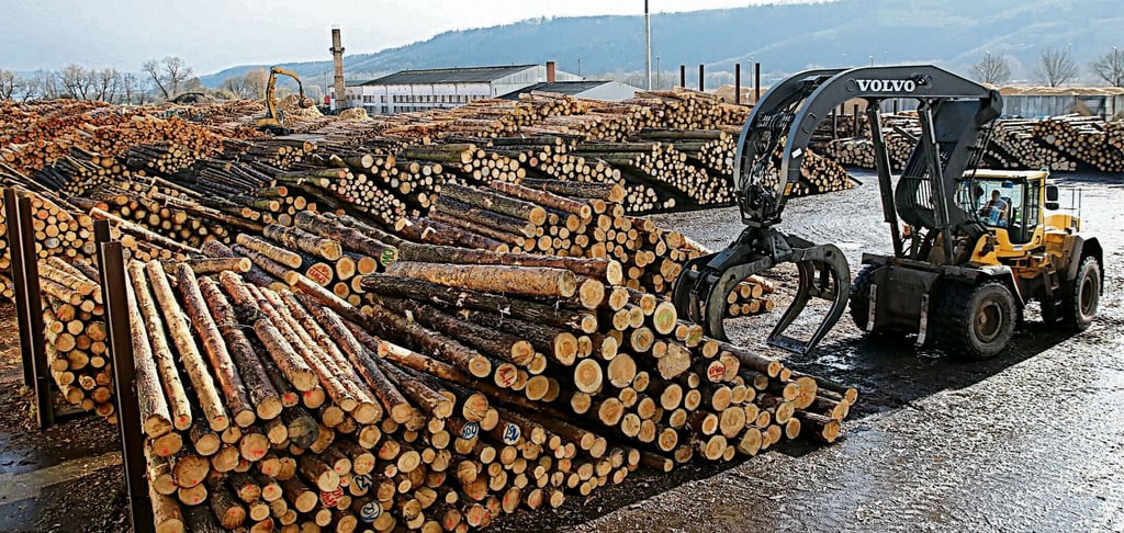 Auf dem Gelände der Firma Ante-Holz in Rottleberode