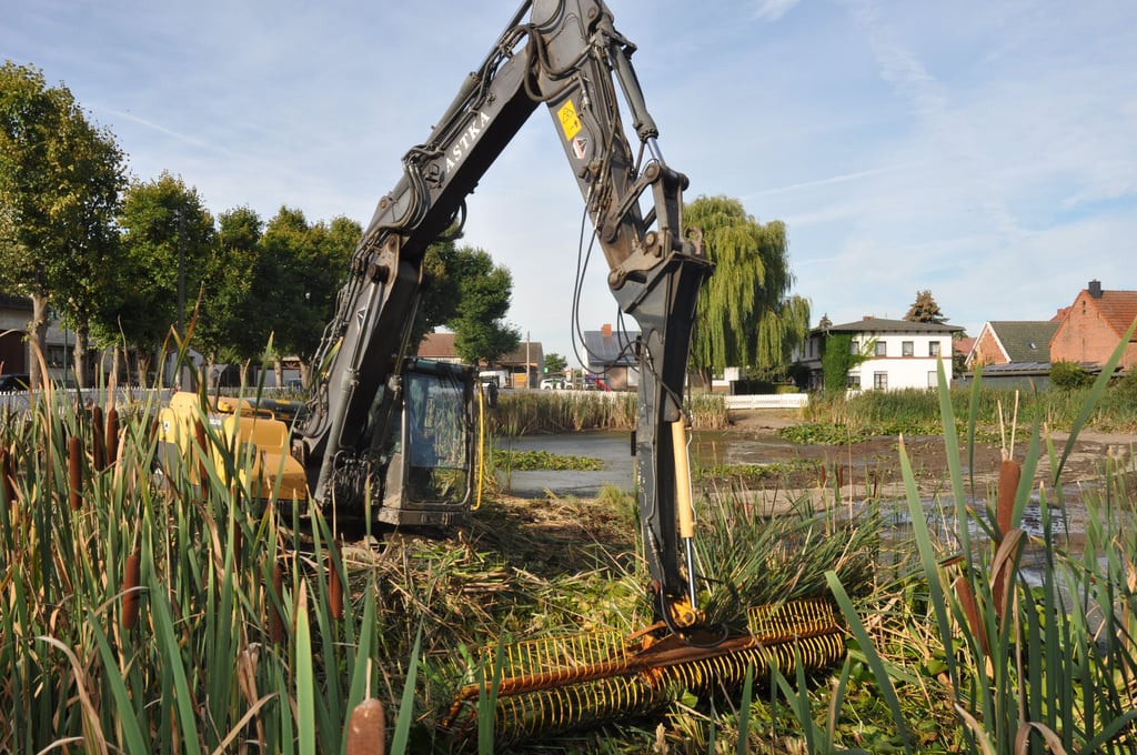 Der Trüstedter Dorfteich wird renaturiert. Die Anlage wurde entschlammt, der Schilfgürtel und die  Rohrkolben ringsum gemäht. Ende November sollen die Arbeiten abgeschlossen sein. 