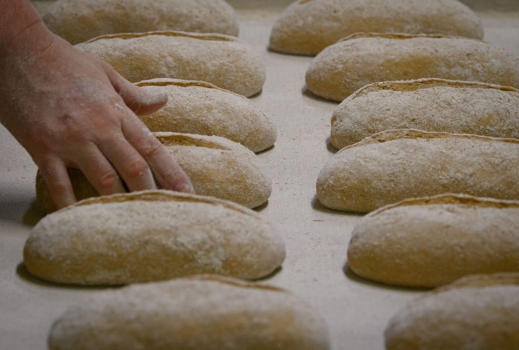 Brot-Teiglinge liegen in der Backstube der Bäckerei und Konditorei Plentz in Brandenburg.