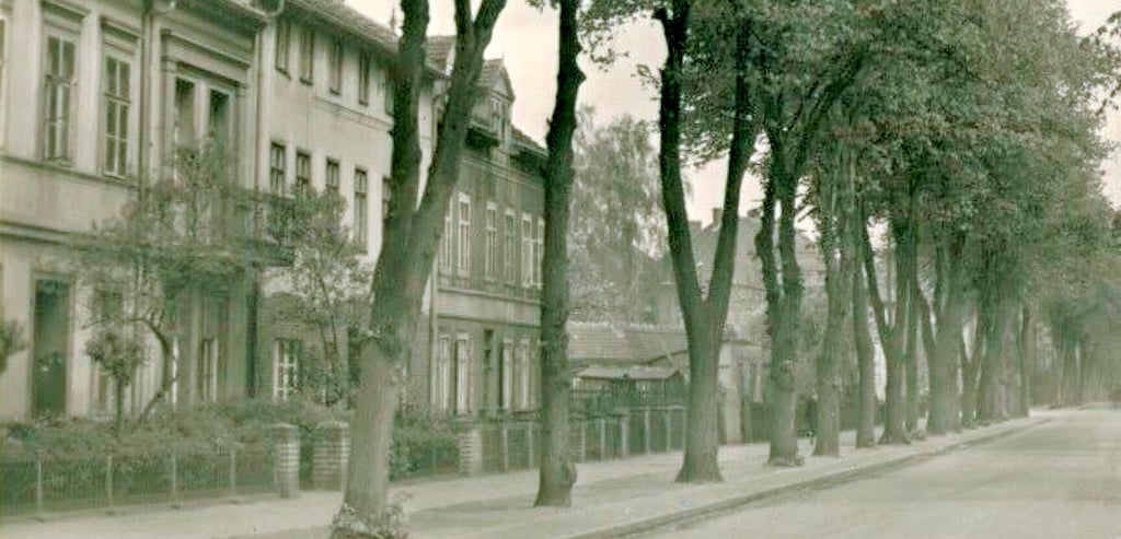 Die Karl-Marx-Straße im Jahr 1959.