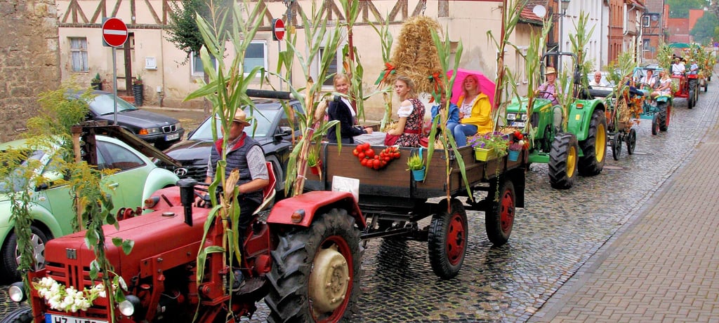 Der Wagen mit der Erntekrone führte den geschmückten Festumzug mit rund 30 Wagen durch die Bodestadt Wegeleben an.