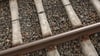 Bundesweit im Fokus: Betonschwellen auf einer Bahnstrecke. Ein bestimmter Bautyp steht im Verdacht, das Zugunglück mit fünf Toten Anfang Juni in Bayern mit verursacht zu haben.