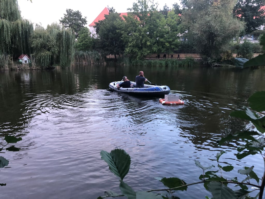 Schwimmende Futterkrippe am Schwanenteich