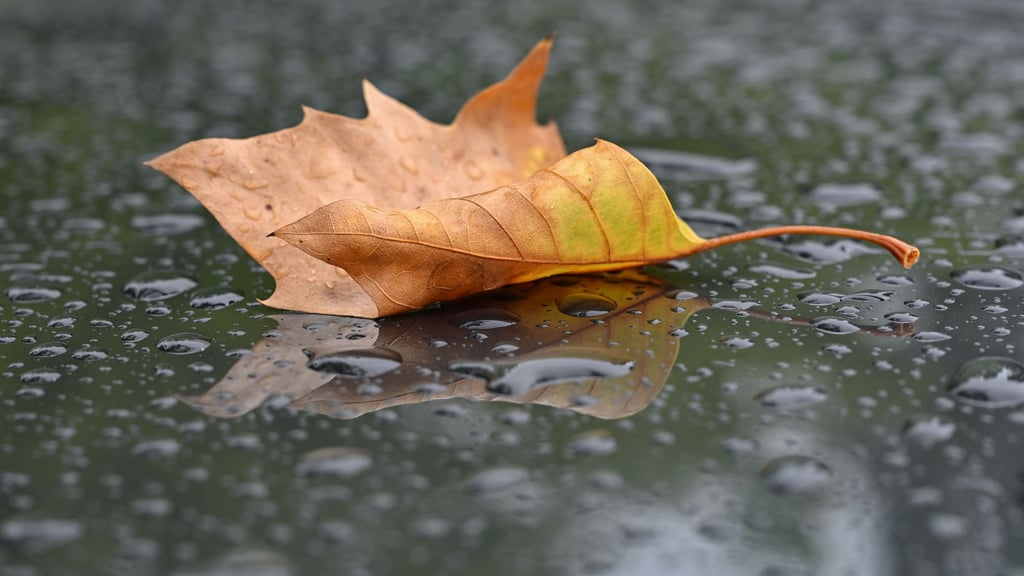 In Sachsen-Anhalt soll das Wetter in dieser Woche deutlich ungemütlicher werden.