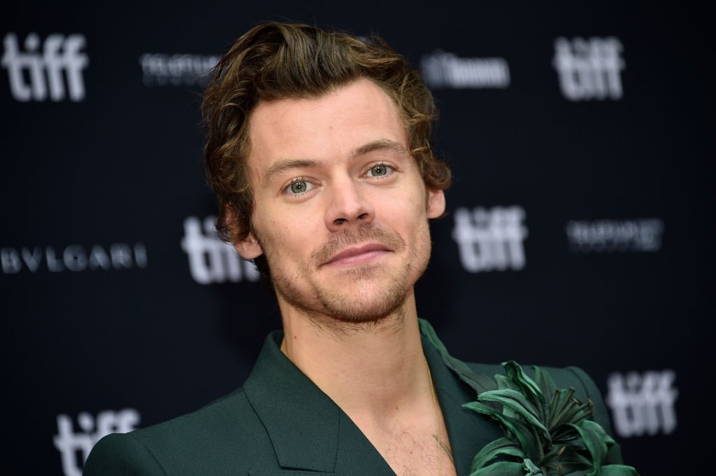 Harry Styles ist als Musiker und Schauspieler sehr erfolgreich.