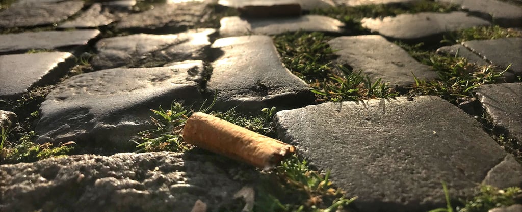 Zigarettenstummel auf dem Gehweg der Neuperverstraße in Salzwedel: Es ist nur eine Stelle von unzähligen. In der gesamten Innenstadt liegen welche, ob auf Gehwegen, Straßen und in Parkanlagen.