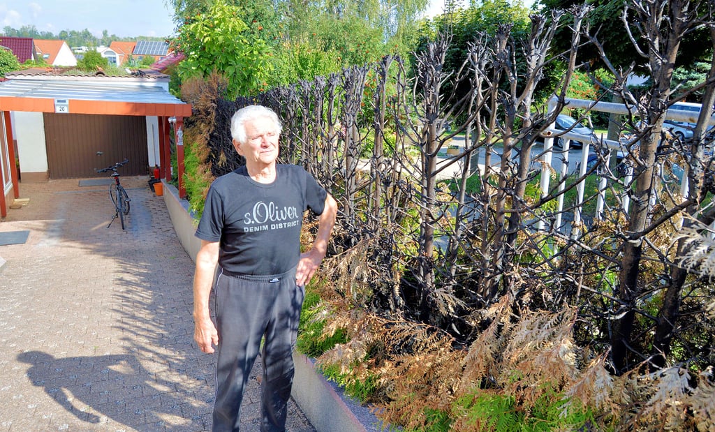 Günter Kreutz steht noch immer fassunglos neben seiner abgebrannten Hecke. Auch das Dach des Carports nahm Schaden und muss erneuert werden.