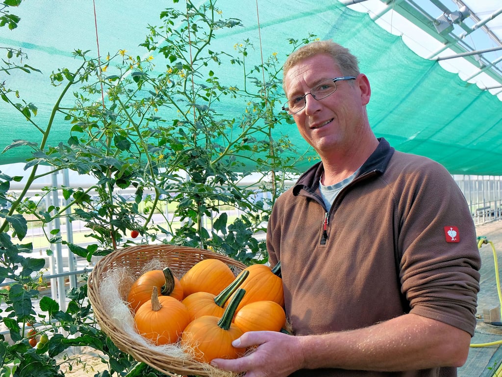 Gartenbaumeister Martin Böttcher aus Elster weiß, dass Kürbisse bei seinen Kunden im Herbst sehr beliebt sind.