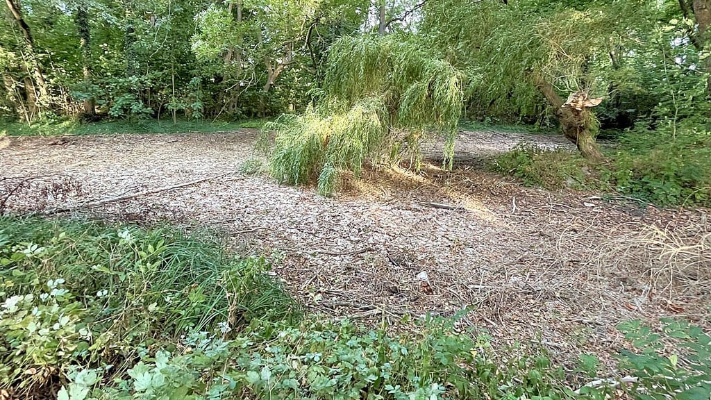 Klimawandel Teich bei Tangerhütte ist erstmals