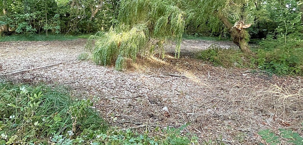 Der Teich in Groß Schwarzlosen bei Tangerhütte ist komplett ausgetrocknet.