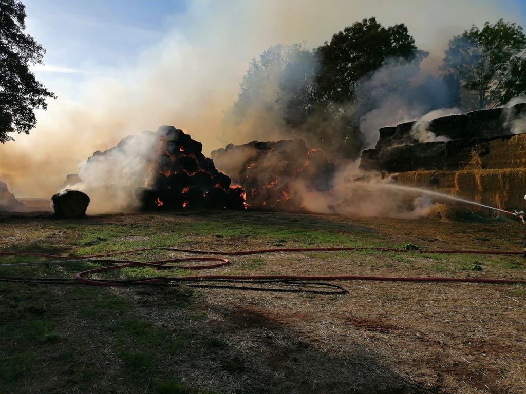 1.600 Strohballen standen am Montagabend in Kleinleinungen im Südharz in Flammen. Zwei Kinder wurden bei dem Brand verletzt.