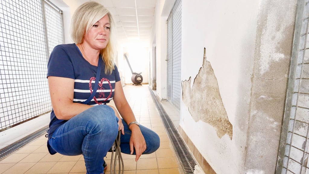 Tierheimleiterin Rasa Zacharias ist besorgt über den Zustand der Katzen- und Hundehäuser.