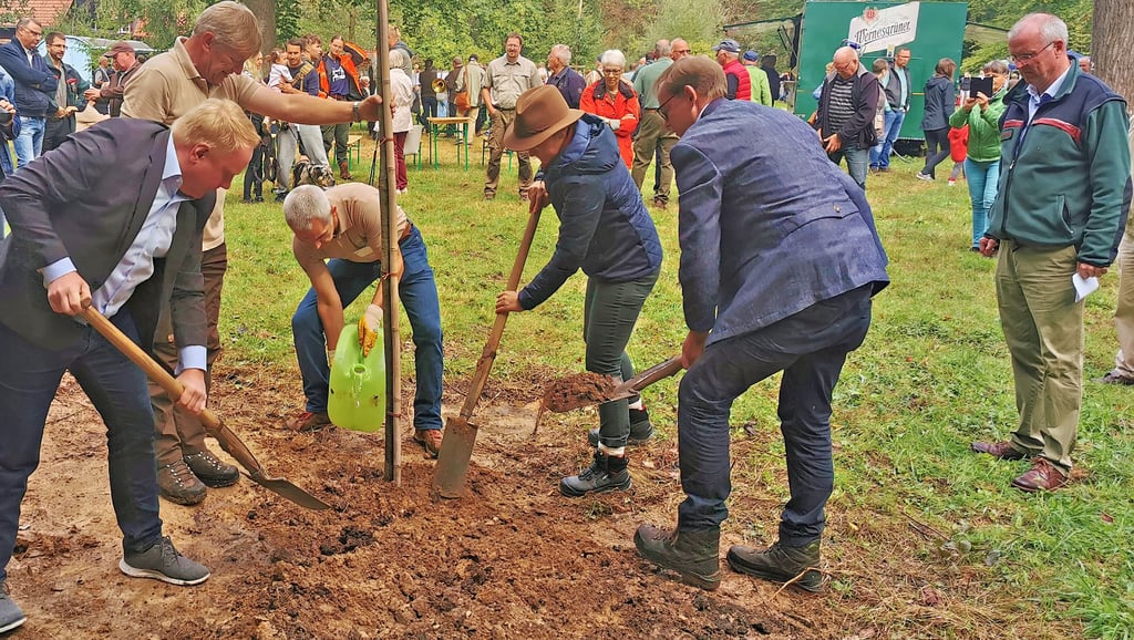 Eine Zerr-Eiche wurde beim Tag des Waldes von Landrat Steve Kanitz (links), Sandra Hietel-Heuer (Mitte, rechts) sowie Björn Hönoch (rechts) gepflanzt. Roland Schuppe, Stephan Miehe und Forstamtsleiter Helmut Jachalke standen ihnen helfend zur Seite.