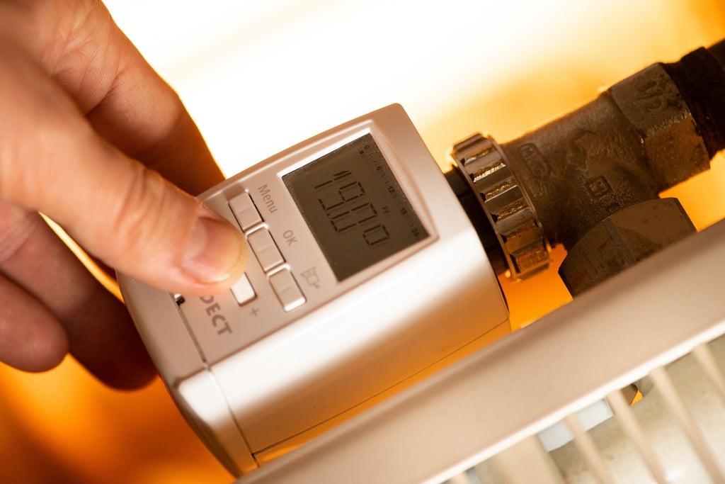 Mit einem digitalen Heizungsthermostat können Verbraucher die Temperatur an ihre Bedürfnisse anpassen - und so sparen.