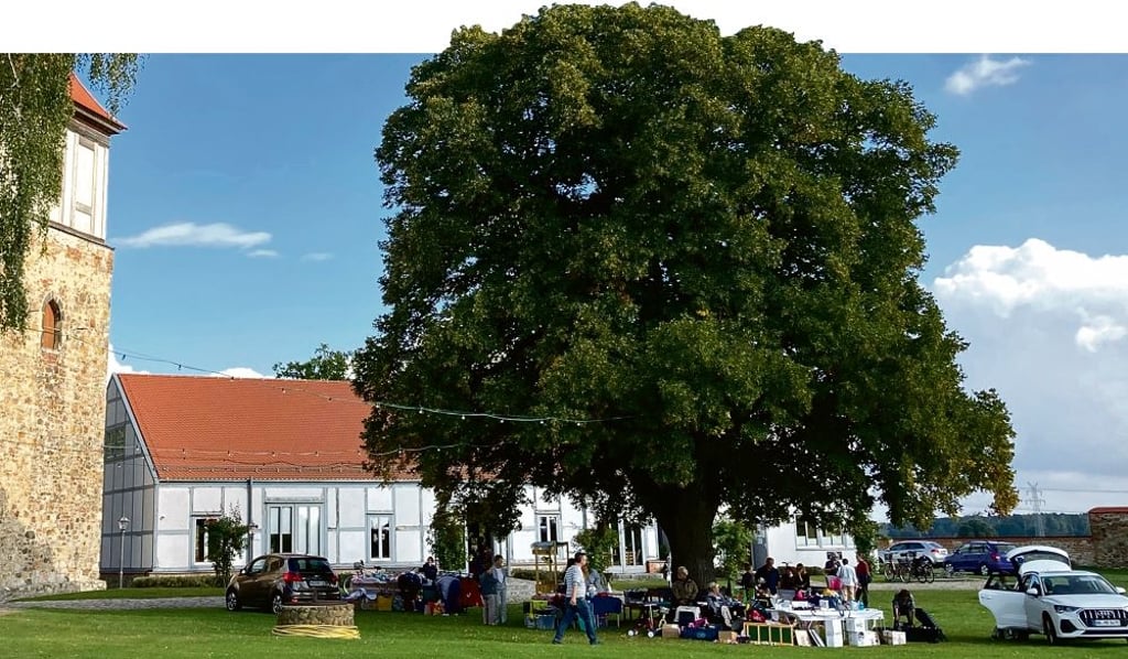 Mit der Burganlage und der Festscheune hat Walternienburg eine tolle Lokalität für Feste und Veranstaltungen.