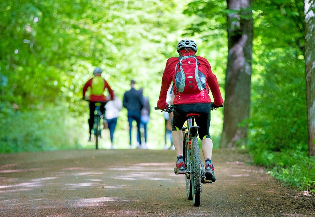 Ausgebaute Radwege wünschen sich die meisten Thalenser Ortsteile und haben Vorschläge dafür eingereicht.