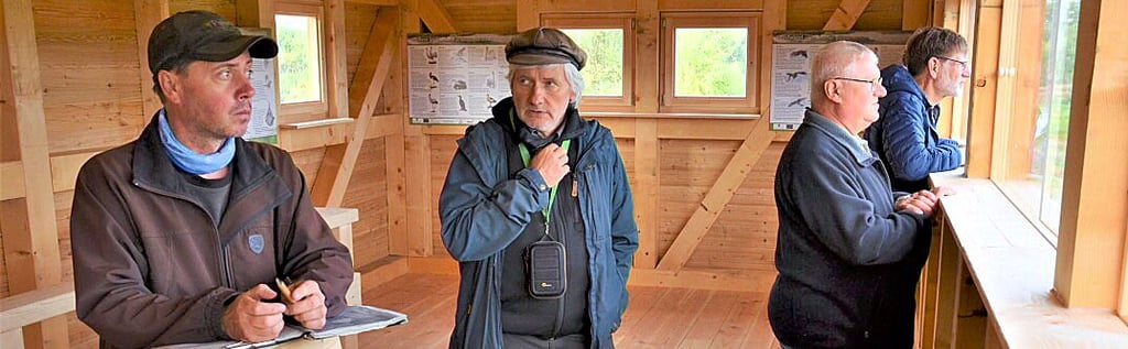 Grünes Band SachsenAnhalt Neuer Beobachtungsturm an den Brietzer