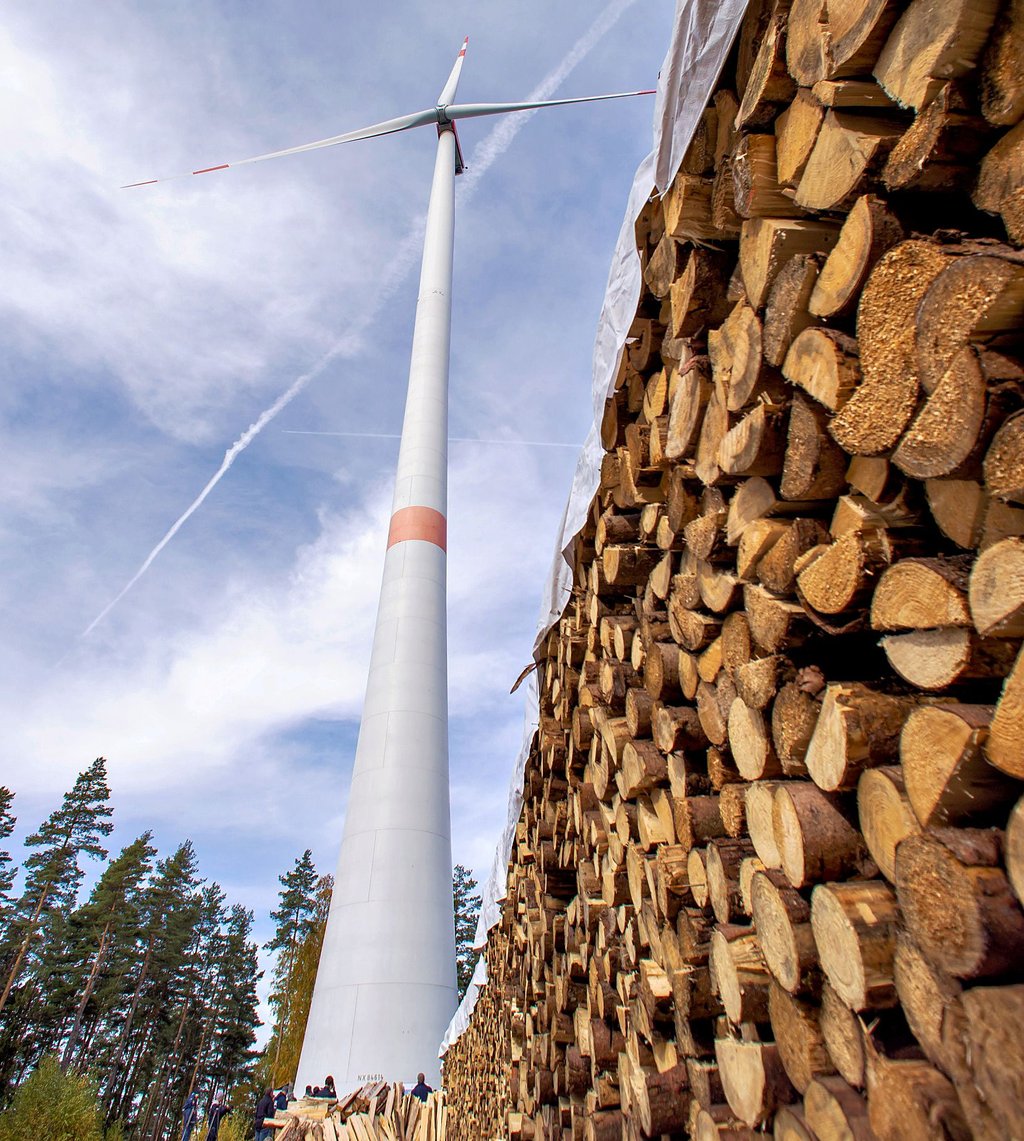 Windräder im Wald – ist das im Harz künftig normal?