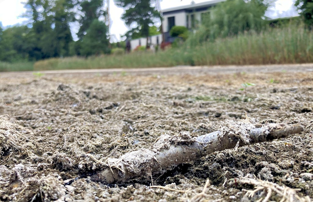 Die als Fenn bekannte ehemalige Badestelle im westlichen Teil von Möser leidet seit Jahren darunter, dass sie weniger Wasser führt.