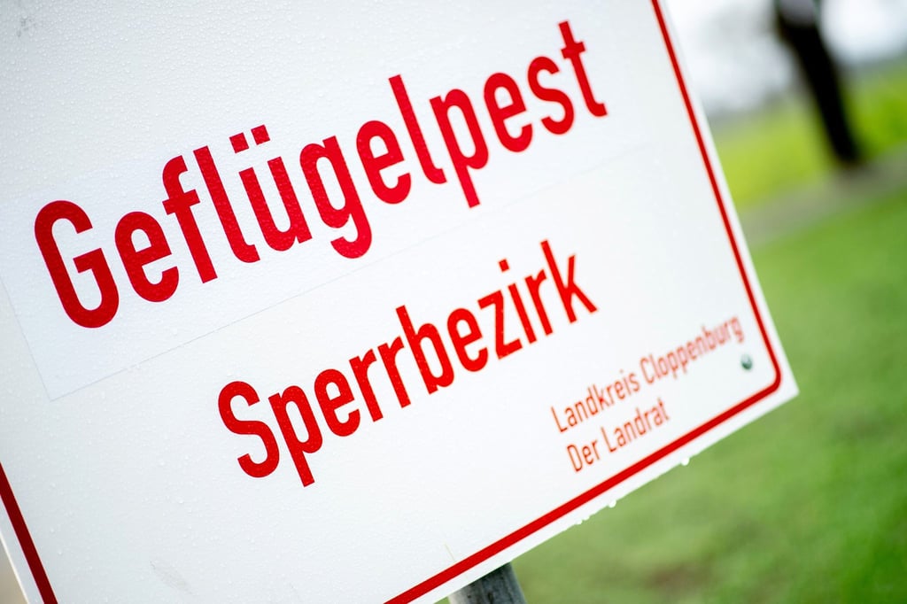 Ein Schild mit der Aufschrift „Geflügelpest Sperrbezirk“ steht an einer Straße.