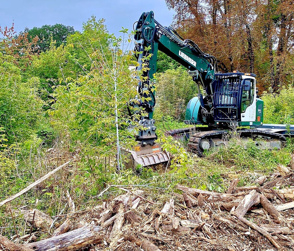 Ein Bagger rodet die Fläche an der Krumbholzallee.