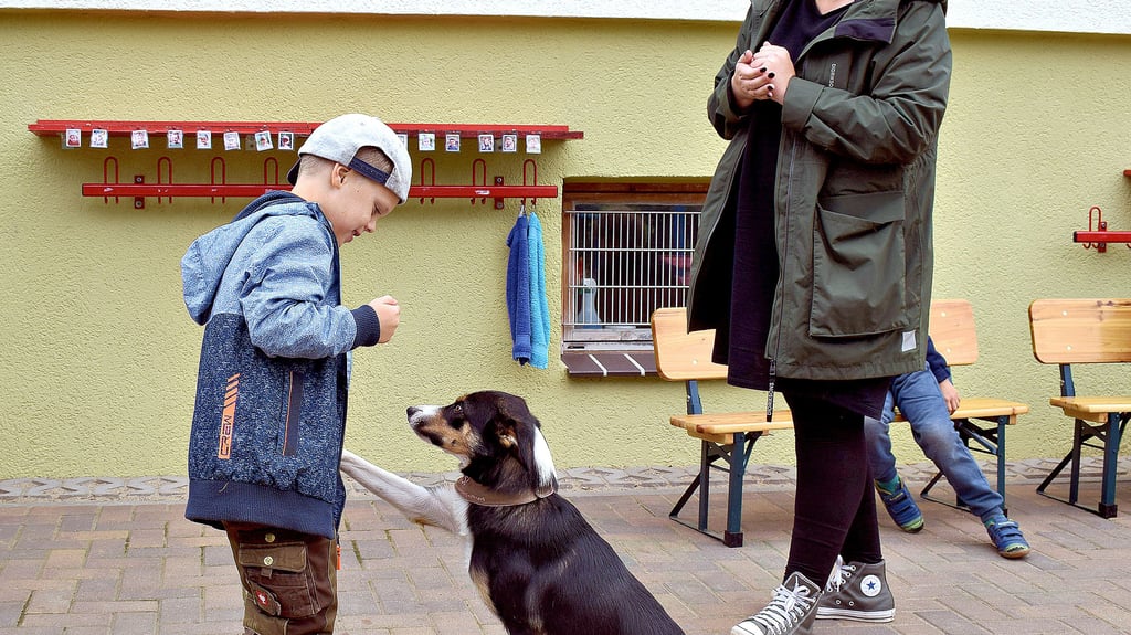 Sofort reagiert Ups, Therapiebgleithündin in Ausbildung, auf Leons Kommando, Pfote zu geben. Das klappt reibungslos. Im Anschluss wird sie von dem Jungen mit einem Leckerli belohnt. Linda Berger und die anderen Kinder (nicht im Bild) schauen derweil zu.