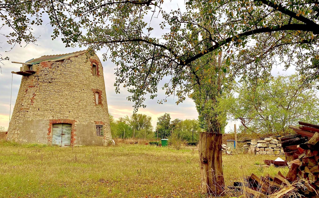 Von der Mühle in Wedlitz sind nur noch Teile übrig, das Dach ist komplett verschwunden.