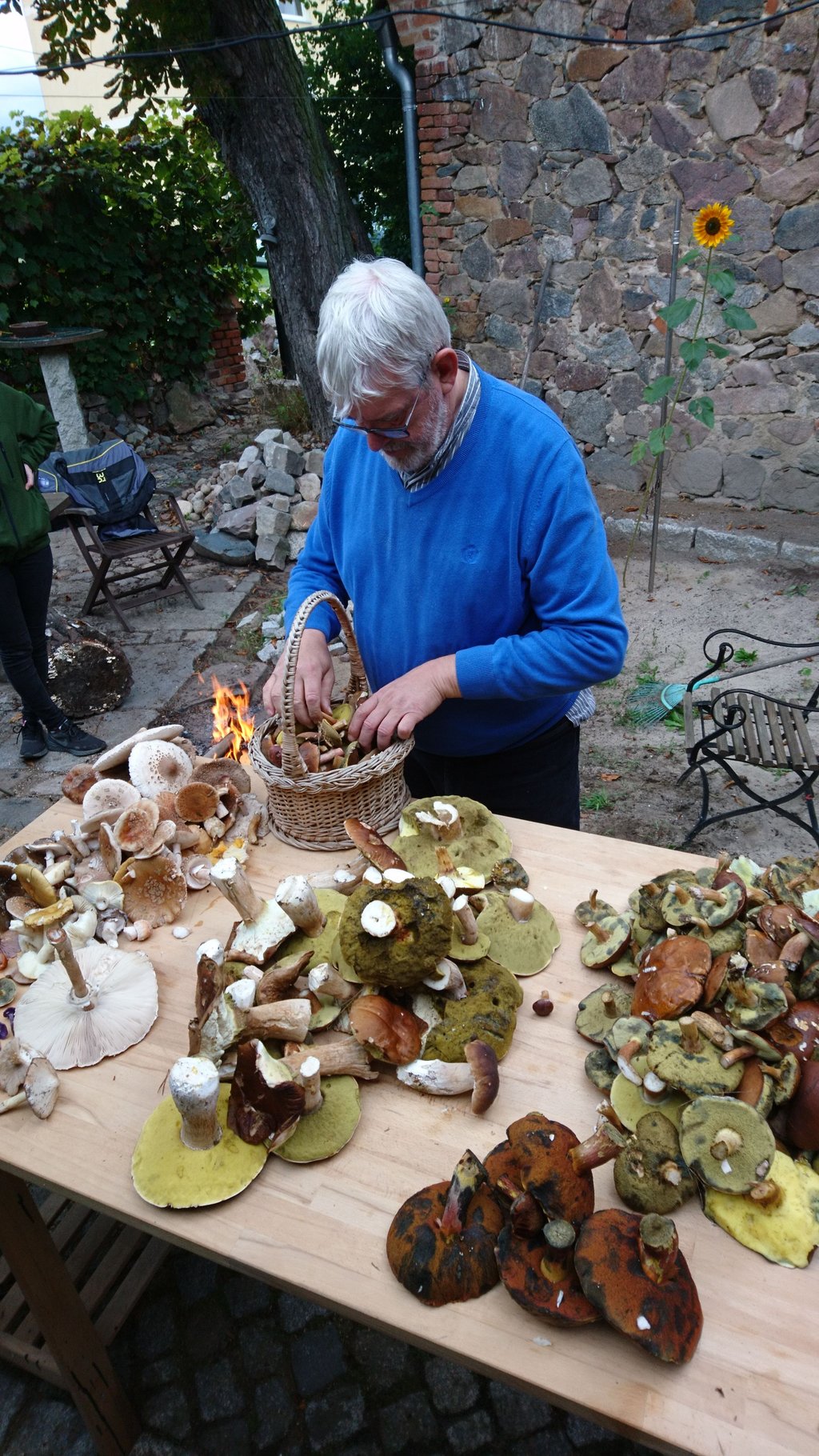Sammler sollten Pilze nur mitnehmen, wenn sie diese hundertprozentig kennen und bestimmen können.
