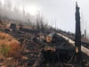 Auf der Fläche nahe der Strecke der Harzer Schmalspurbahn brannte es Anfang September im Nationalpark Harz am Brocken - doch wie viel Wald brannte wirklich?