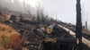 Auf der Fläche nahe der Strecke der Harzer Schmalspurbahn brannte es Anfang September im Nationalpark Harz am Brocken - doch wie viel Wald brannte wirklich?