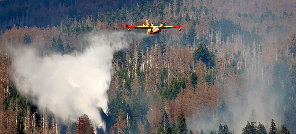 Beim Kampf gegen den jüngsten Waldbrand im Nationalpark Harz, der am 3. September ausgebrochen ist, waren zwei italienische Löschflugzeuge im Einsatz.