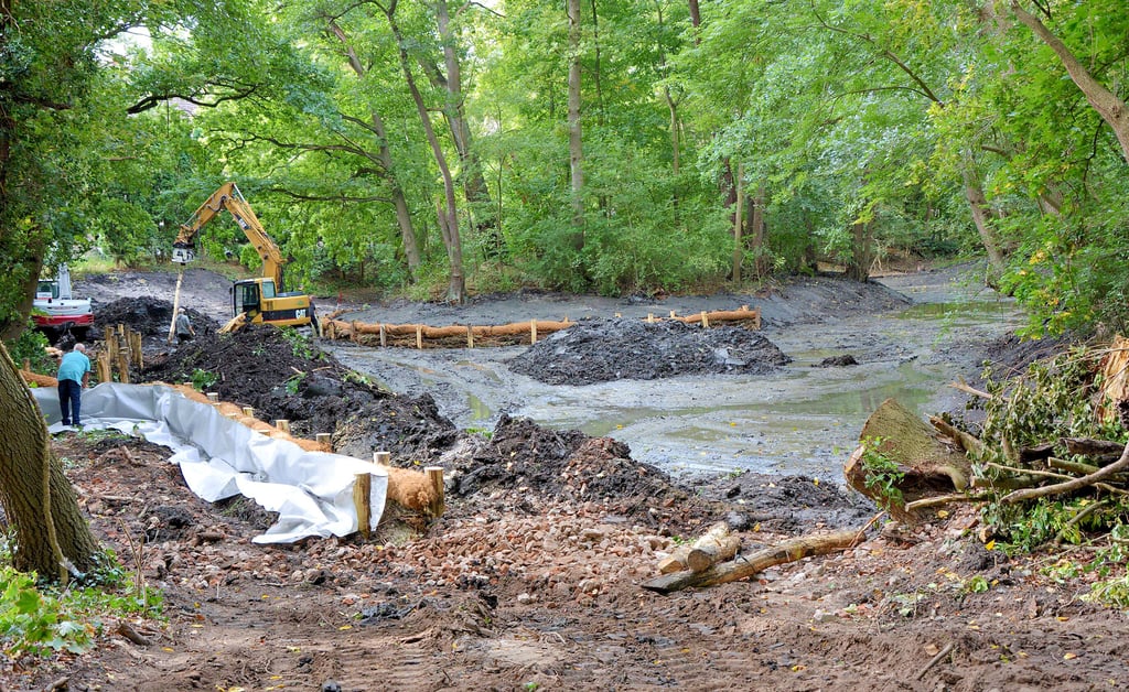 Nach dem der Krüdener Schlossteich abgepumpt, der Schlamm ausgehoben und am Rand verbaut wurde, geht es derzeit ans Befestigen des Ufers unter anderem mit Robinienpfählen, Faschinen und Kokosmattenrollen. Die Insel in der Mitte des Biotops bleibt für brütende Vögel erhalten.