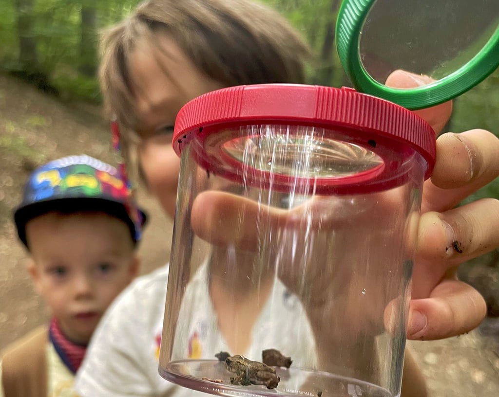 Dank der Becherlupen, mit denen die Wasserforscherwagen ausgestattet sind, können die kleinen Tiere, die in den Gewässern leben, gut beobachtet werden.