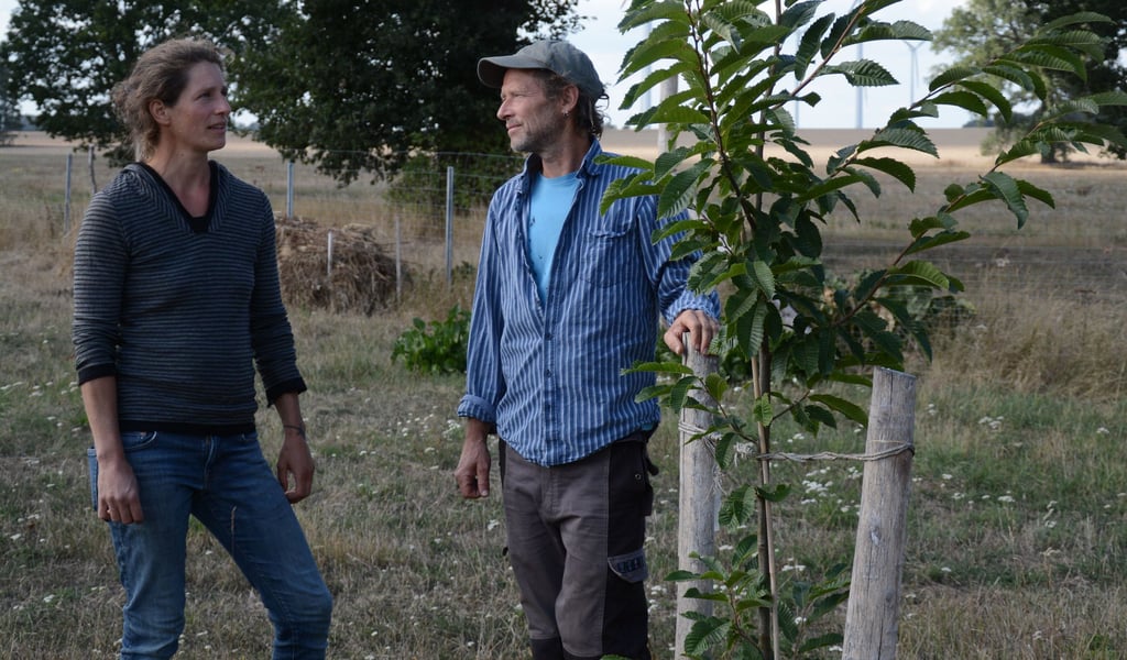 Karsten Bauer und Katharina Nabel betreiben Agroforst-Landwirtschaft bei Zierau.