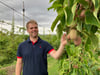 Exotische Früchte aus Sachsen-Anhalt: Roman Langels mit Kiwi-Beere
