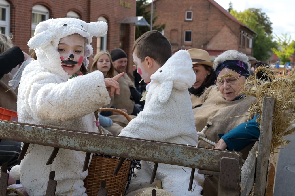 Der Festumzug war der große Höhepunkt des Harzfestes in Schwanebeck.