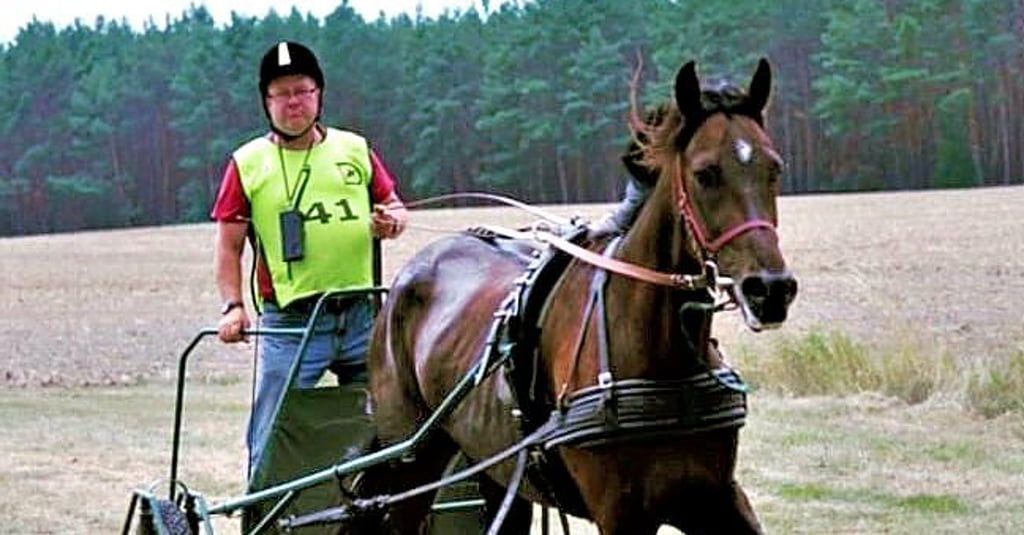 Nach schwerer Krankheit gewinnt Edgar Stierholz aus Lockstedt mit seinem Pferd Eagle-Simoni in Düben bei der Deutschen Meisterschaft die 70 Kilometer.