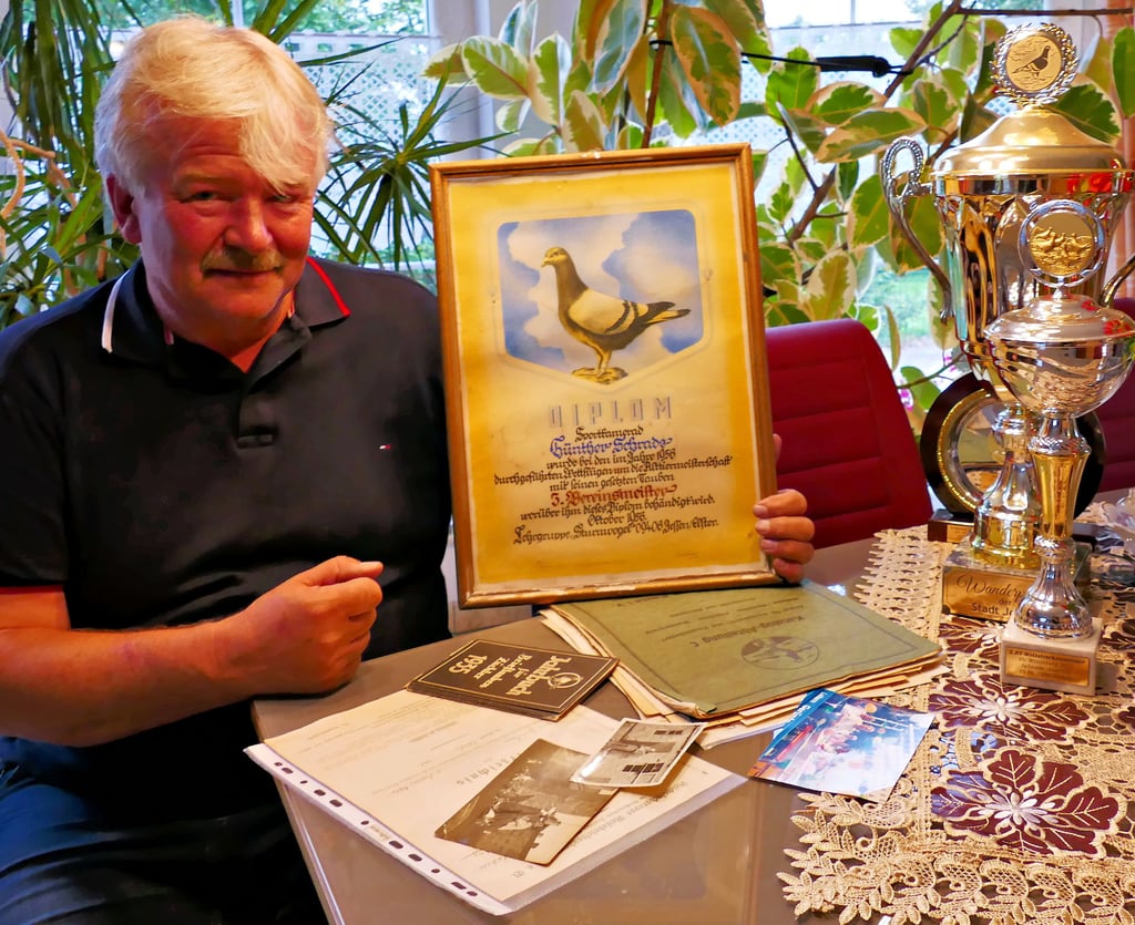 Joachim Schrade, Brieftaubenzüchter aus Jessen, gewann hunderte Pokale, doch eine Siegesurkunde seines Vaters Gunter bezeichnet er als seine wertvollste Trophäe.