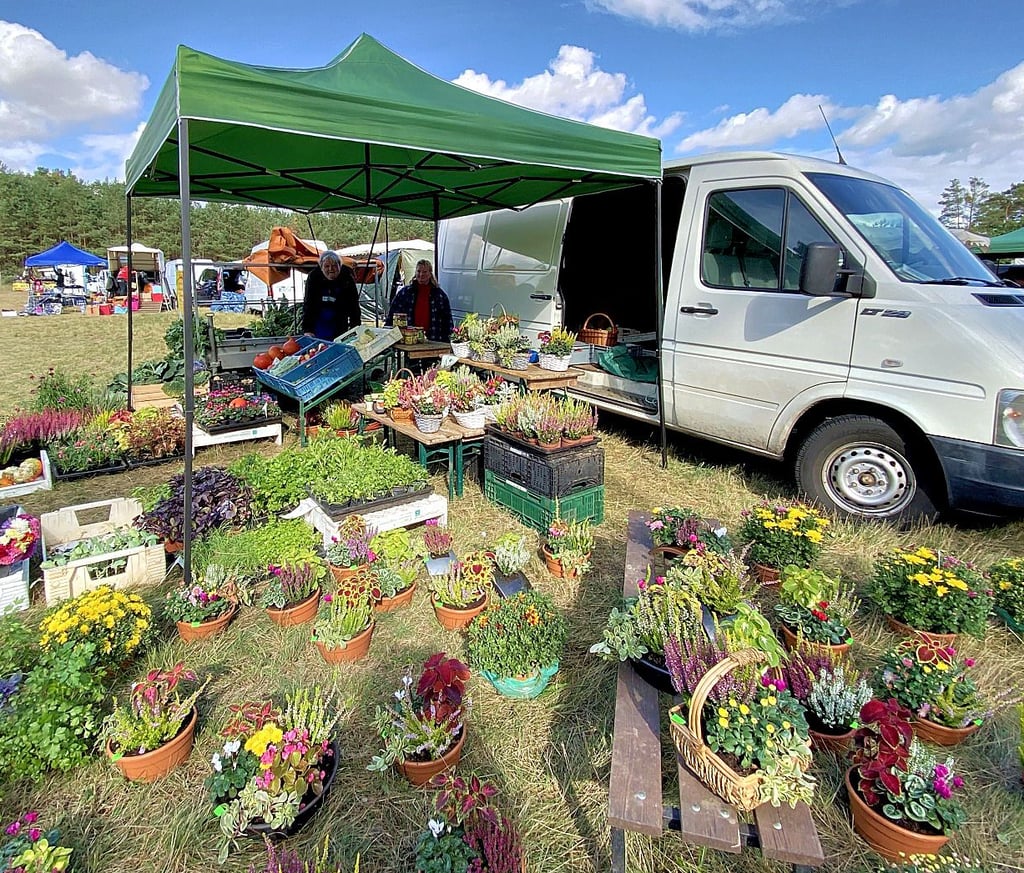 Der "kleine Landhof" Ragow bei Lübbenau bot Herbstblumen und Gemüse an.